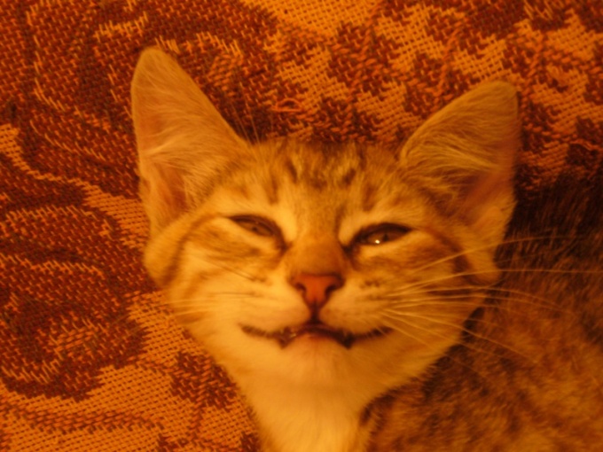 ������