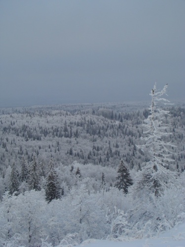 ��������� 2008