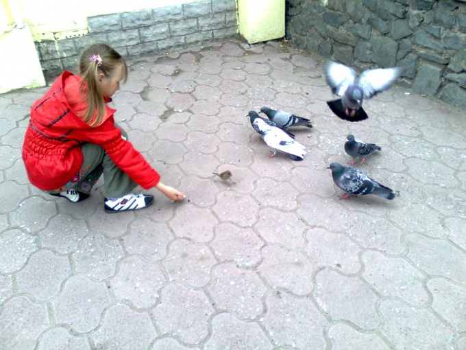 � ����� ����