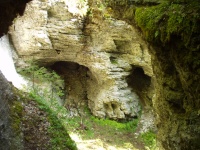 ������ "�����"