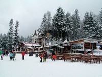 ����������� ���� -  �������  (Borovets), �������� . ������� � ���� �� �����.