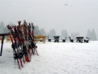 ����������� ���� -  ���������  (Pamporovo), �������� . ������� � ���� �� �����.