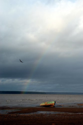 ���� ����