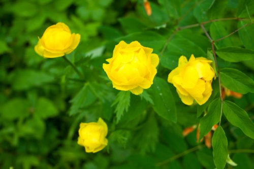 �������