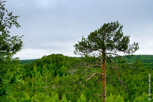 ������� ��������� ���� ���������