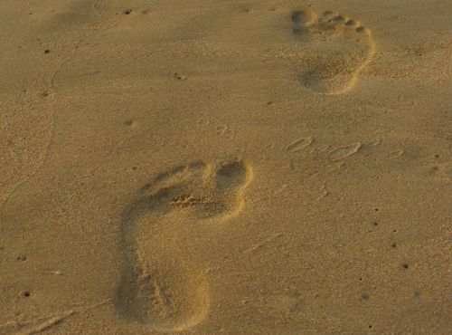 ����� �� �����